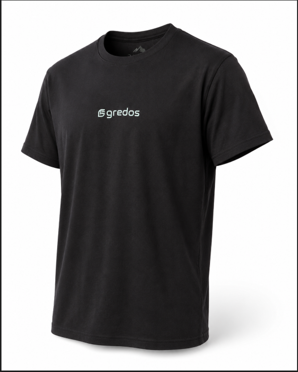 Camiseta sistema central - Galayos